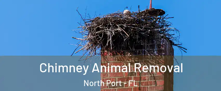 Chimney Animal Removal North Port - FL