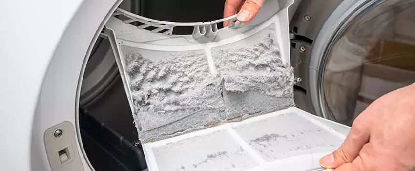 Best Dryer Lint Removal Company in North Port, Florida