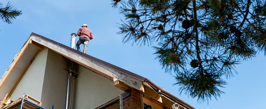 Birds Removal Contractors from Chimney in North Port, FL