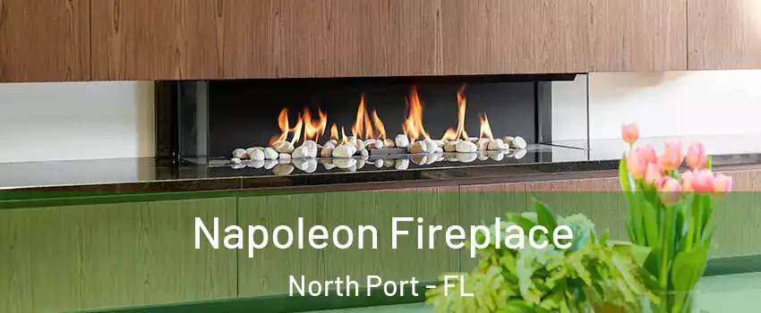  Napoleon Fireplace North Port - FL
